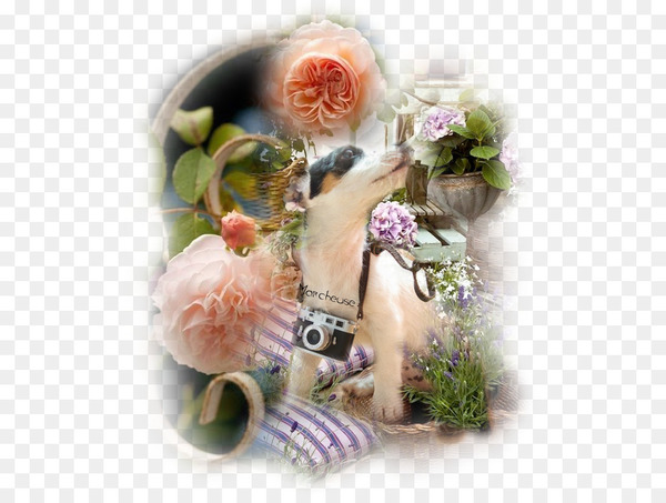 floral design,cut flowers,flower,flower bouquet,flower arranging,floristry,plant,png