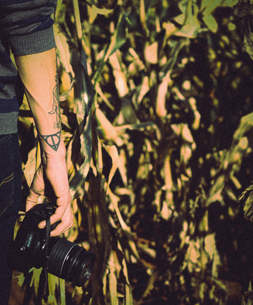 people,man,guy,tattoo,art,hand,arm,camera,lens,photography crops,plants,field,sunlight,sunny