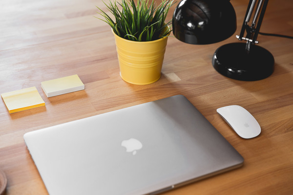 macbook,laptop,desk,office,black,lamp,light,business,plant,green,yellow,mouse,white,wood