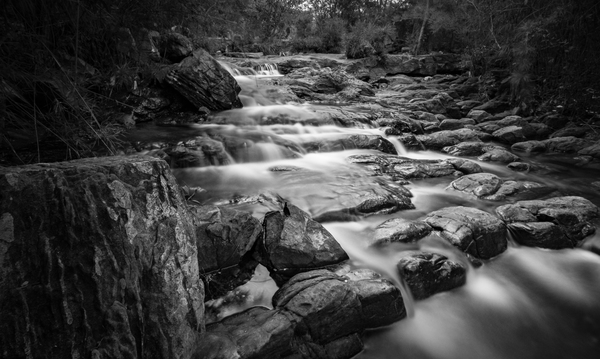 woods,water,trees,stream,rocks,river,nature,landscape,creek,black-and-white