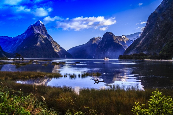 clouds,dawn,daylight,destination,dusk,evening,fjord,grass,lake,landscape,majestic,milford sound,mountain,nature,new zealand,ocean,outdoors,piopiotahi marine reserve,reflection,scenic,sea,sky,snow,summer,sunset,tourists,tranquil,travel,valley,water,Free Stock Photo