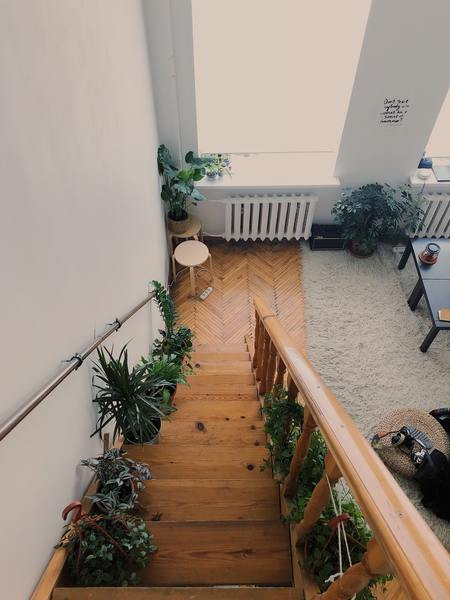 house,plants,stairs,interior design,minimal,wood,white,table,down