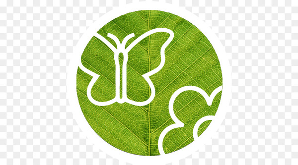 logo,sculpture,symbol,leaf,flower,circle,plants,trademark,statue,circle 7 logo,football,brand,download,sign,green,grass,plant,png