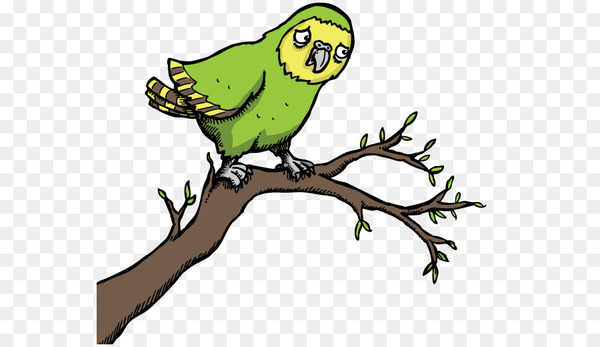parrot,bird,kakapo,macaw,beak,parakeet,lovebird,owl,cartoon,pet,golden eagle,eagle,vertebrate,budgie,green,branch,adaptation,png