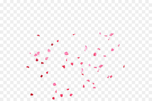 pink,petal,rose,flower,blue,purple,burgundy,flower bouquet,wedding,black,heart,square,triangle,symmetry,point,line,circle,rectangle,png