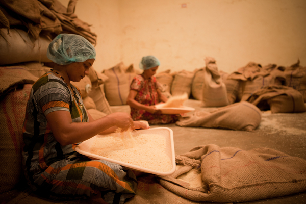 cc0,c1,women,working,work,india,food industry,free photos,royalty free