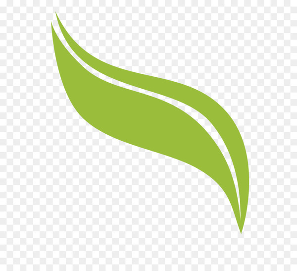 leaf,logo,plant stem,angle,green,line,plant,grass,png