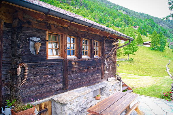 chalet,wood,mountain,nature,swiss,spring,warm,nature,travel,log cabin,wood,tree,bench