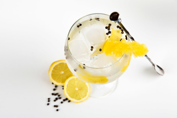 gin,cocktail,lemon,glass,cold,ice,food,drink,orange,citrus,cocktail glass,liquor,vodka,minimal,white,background