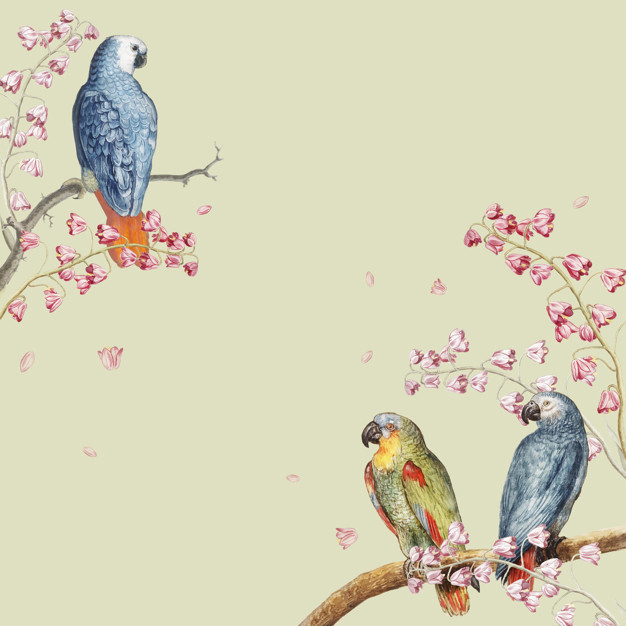 perched,avian,beak,parrots,domestic,tail,wildlife,wild,cute frame,decor,portrait,antique,frame vintage,beautiful,feathers,parrot,tree branch,blossom,cute animals,vintage border,vintage poster,cherry,african,branch,frames mockup,cherry blossom,drawing,pet,decoration,wings,yellow,feather,poster mockup,colorful,cute,vintage frame,forest,retro,beauty,animal,bird,blue,border,tree,vintage,mockup,poster,frame