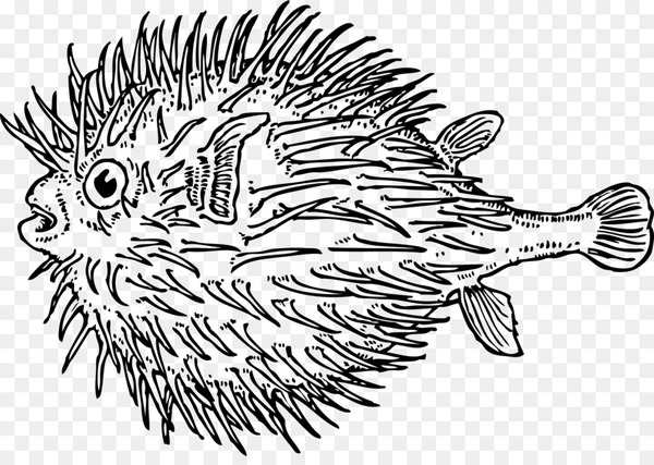 line art,drawing,m02csf,fauna,art,tree,fish,porcupine,head,porcupine fishes,hedgehog,coloring book,snout,erinaceidae,scorpionfish,new world porcupine,blackandwhite,png