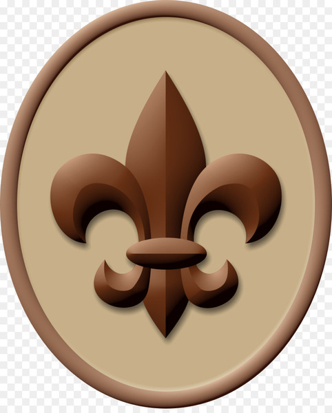 boy scout handbook,boy scouts of america,ranks in the boy scouts of america,scouting,eagle scout,cub scouting,merit badge,scout troop,cub scout,badge,scout badge,varsity scouting,symbol,png