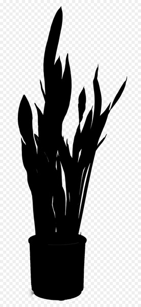 tree,silhouette,finger,blackandwhite,grass family,leaf,plant,wing,photography,hand,monochrome,plant stem,feather,shadow,claw,graphic design,flower,logo,art,still life photography,png