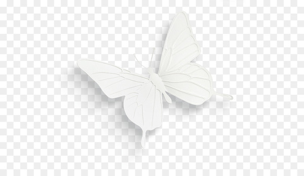 butterfly,white,black,pollinator,invertebrate,insect,moths and butterflies,wing,black and white,png