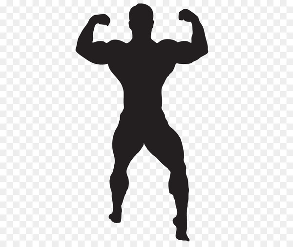 bodybuilding,computer icons,exercise,physical fitness,weight training,fitness centre,silhouette,training,download,standing,arm,muscle,logo,png