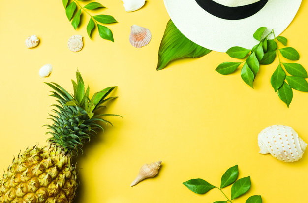pattern,food,leaf,fashion,hat,natural,pineapple,diet,eating,accessories,seashell,and,closeup