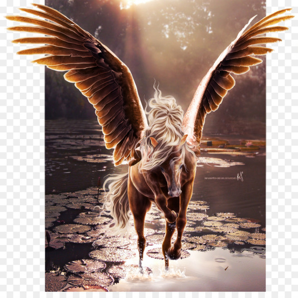 Wing Pegasus 90WF Spark FX Beyblade Hasbro Metal Fury  US Seller  eBay
