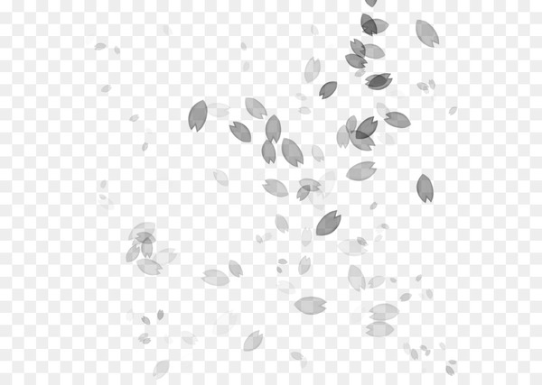 desktop wallpaper,computer,point,white,leaf,organism,line,plant,blackandwhite,png