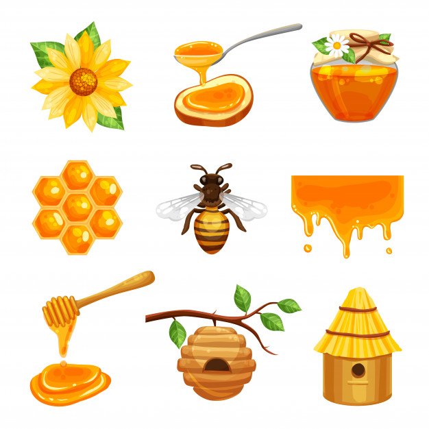 beekeeper,swam,beekeeping,dipper,nectar,leak,domestic,pollen,isolated,flavor,puddle,tasty,beehive,hive,set,comb,collection,object,cell,insect,liquid,honeycomb,sugar,jar,form,symbol,spoon,dessert,decorative,emblem,drop,agriculture,sweet,elements,natural,organic,honey,yellow,bee,garden,icons,health,farm,cartoon,icon,food,flower