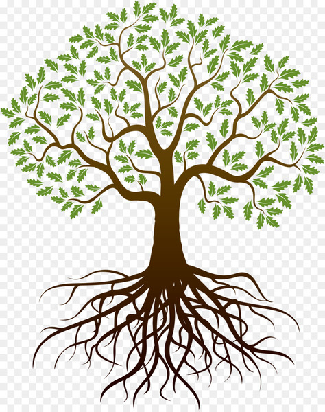24,482 Tree Roots Drawing Images, Stock Photos, 3D objects, & Vectors |  Shutterstock