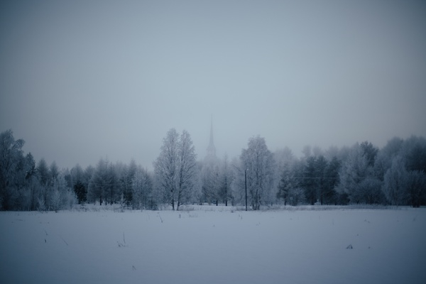 nature,landscape,forests,trees,blanket,snow,fog,solemn,white