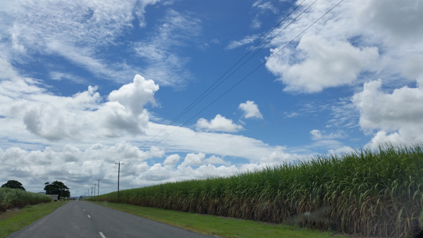 cc0,c1,road,country,australia,rural,crop,paddocks,blue sky,clouds,sunshine,day,sugar cane,country road,bitumen,scenic,travel,landscape,nature,green,countryside,grass,field,scene,view,scenery,blue,highway,outdoors,season,drive,agriculture,farm,sun,sunny,horizon,land,lane,spring,perspective,journey,weather,environment,motion,sunlight,natural,beautiful,bright,colorful,free photos,royalty free