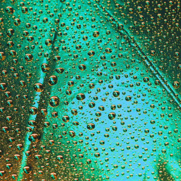 full frame,nobody,closeup,detailed,purity,condensation,macro,textured,droplets,dew,pure,full,wet,detail,droplet,surface,fluid,colored,waterdrop,extreme,raindrop,reflection,shining,glossy,shiny,green abstract,background texture,bright,seamless,liquid,abstract pattern,water background,transparent,effect,texture background,background green,clean,shine,drop,water color,rain,water drop,creative,glass,backdrop,bubble,color,wallpaper,green background,green,circle,texture,water,abstract,frame,abstract background,pattern,background
