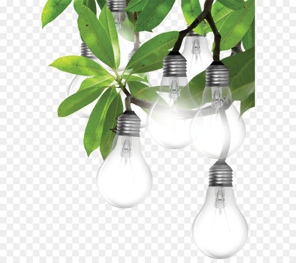 solar power,power,renewable energy,electric energy consumption,business,innovation,industry,electric power,energy conservation,efficient energy use,power station,alfa laval,glass,drinkware,product design,lighting,branch,png