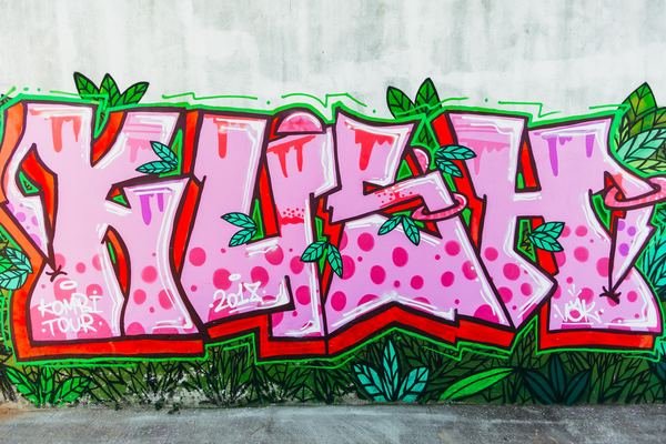 flower,summer,pink,color,colour,architecture,mural,graffiti,art,wall,art,street,urban,grafitti,city,design,artist,creative,leaf,pink,green,png images