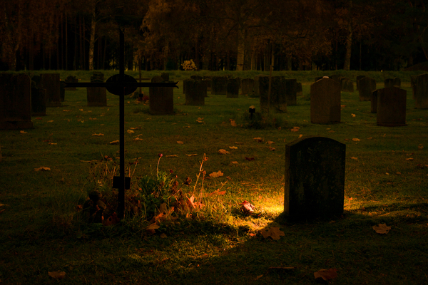 backlit,burial,cemetery,cross,dawn,dried leaves,eerie,evening,fall,funeral,grass,grave,graveyard,landscape,lawn,light,mystery,night,shadow,silhouette,sunset,tombstones,trees,Free Stock Photo