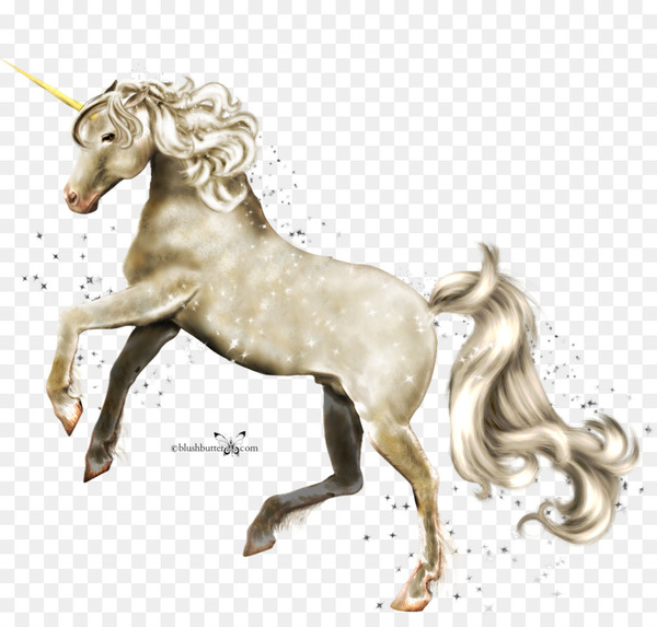 unicorn,drawing,legendary creature,download,photography,desktop wallpaper,encapsulated postscript,last unicorn,horse,pony,horse tack,horse like mammal,stallion,mustang horse,fictional character,mane,mythical creature,png