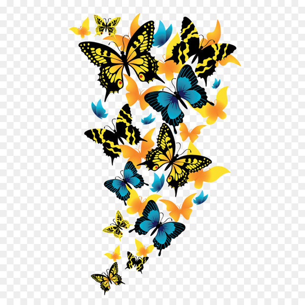 Free: Butterfly Clip art - Butterflies Clipart Picture 