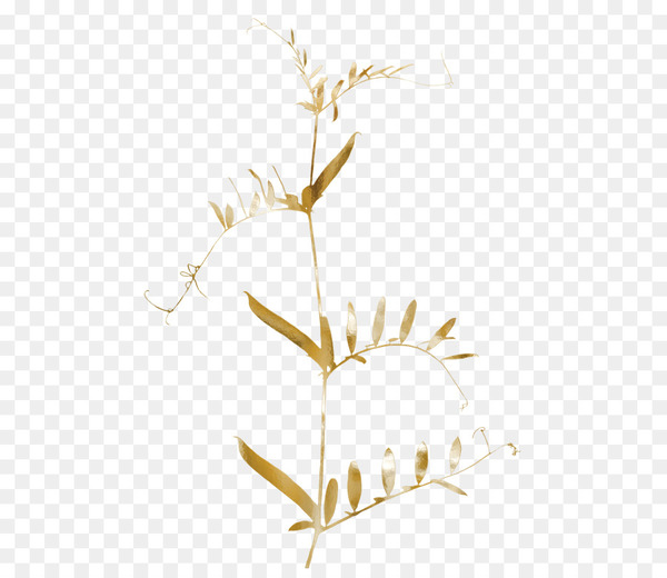 twig,leaf,gold,tree,green,gold leaf,branch,designer,or,plant stem,plant,grass family,flower,commodity,png