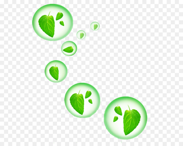 green,environmental protection,information,download,drop,graphic design,poster,gratis,water,advertising,leaf,symbol,circle,fruit,line,png