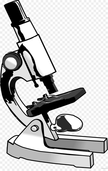 optical microscope,microscope,light,microscopy,phase contrast microscopy,student microscope with mechanical stage,computer icons,microscope slides,biology,black and white,sports equipment,line,chair,furniture,shoe,monochrome photography,optical instrument,monochrome,recreation,png
