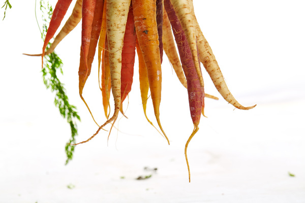 vegetables,crops,harvest,carrots,orange,white,still,bokeh,minimalist