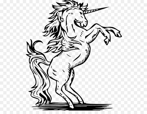 unicorn,photography,stock photography,drawing,royaltyfree,art,line art,encapsulated postscript,head,monochrome photography,horse like mammal,artwork,tree,wildlife,mustang horse,fictional character,horse,mane,monochrome,mythical creature,white,organism,black and white,png