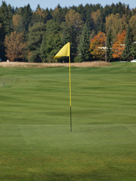 golf,flag,green,sports,pin
