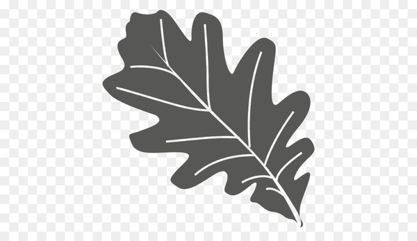 leaf,oak,oak leaf cluster,vexel,tree,silhouette,plant,monochrome photography,hand,black and white,flowering plant,png