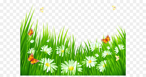 grass and flowers clipart