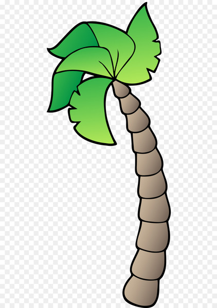 coconut,drawing, cartoon,palm trees,animation,tropics,comics,tree,tropical climate,leaf,plant,plant stem,botany,palm tree,png