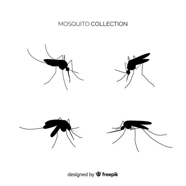 background,silhouette,flat,simple background,fly,simple,insect,flat background,pack,mosquito,bug,collection,bite,disease,buzz,stinging