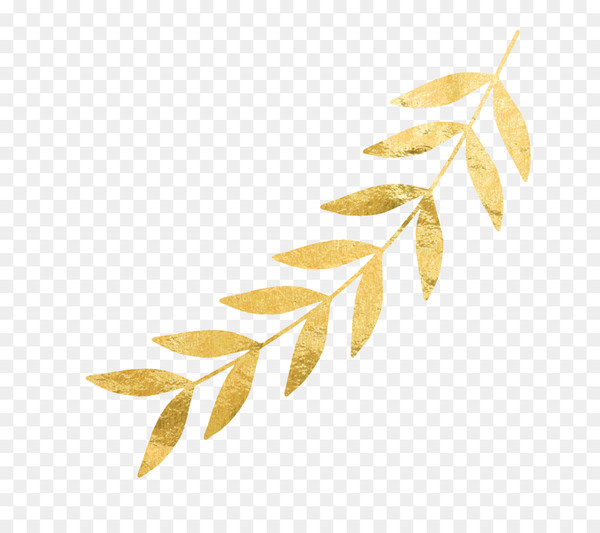 gold,gold leaf,twig,leaf,branch,desktop wallpaper,foil,wreath,photography,royaltyfree,petal,plant stem,png