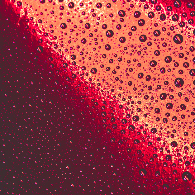 full frame,nobody,closeup,detailed,purity,condensation,macro,textured,dew,pure,full,wet,detail,droplet,surface,fluid,colored,waterdrop,extreme,raindrop,shining,glossy,shiny,drops,bright,red abstract,seamless,liquid,water background,transparent,effect,background red,clean,shine,pattern background,nature background,drop,natural,water color,rain,orange background,water drop,creative,backdrop,bubble,orange,color,wallpaper,background pattern,red background,red,circle,texture,water,abstract,frame,pattern,background