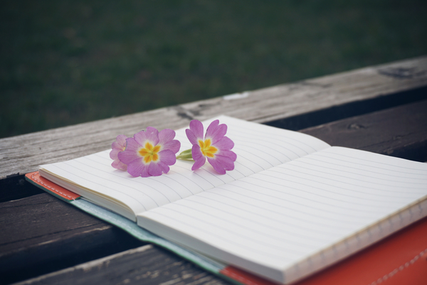 cc0,c4,bench,flower,notebook,pen,wooden,notepad,wooden table,lifestyle,modern,creative,white,flora,plant,spring,note,decoration,environment,life,natural,decorative,nature,garden,free photos,royalty free