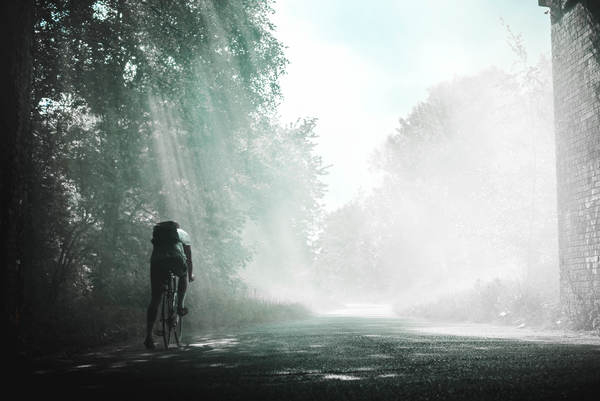 guy,man,male,people,cycling,bicycle,road,path,trees,sun,light,rays,fog,black and white,fitness
