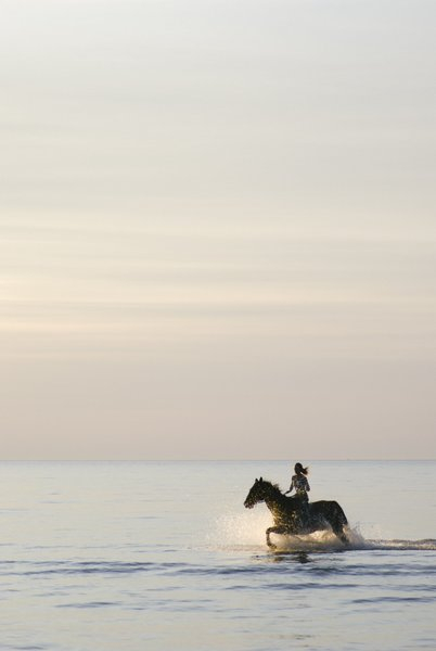 girl,horse,sea,summer,sunset,water