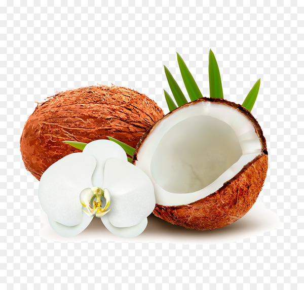 coconut water,coconut,coconut milk,coconut oil,oil,fat,royaltyfree,food,fruit,superfood,ingredient,png