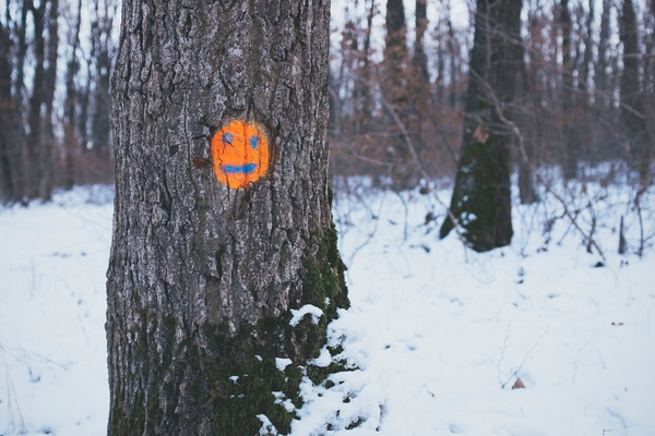 trees,orange,face,drawing,snow,forest,woods,smile