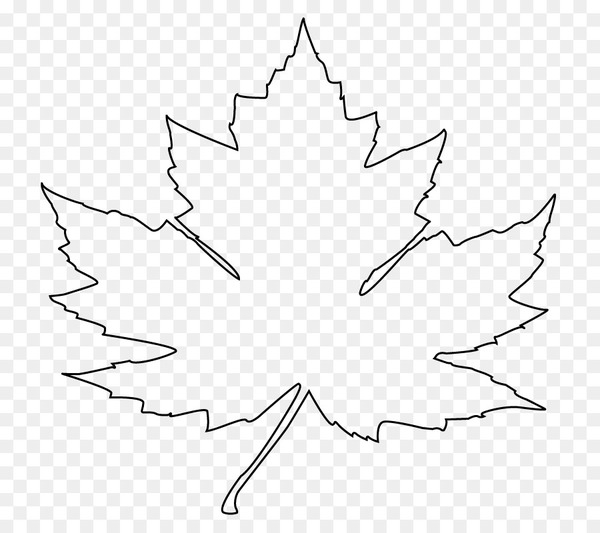 Maple Leaf coloring page | Free Printable Coloring Pages